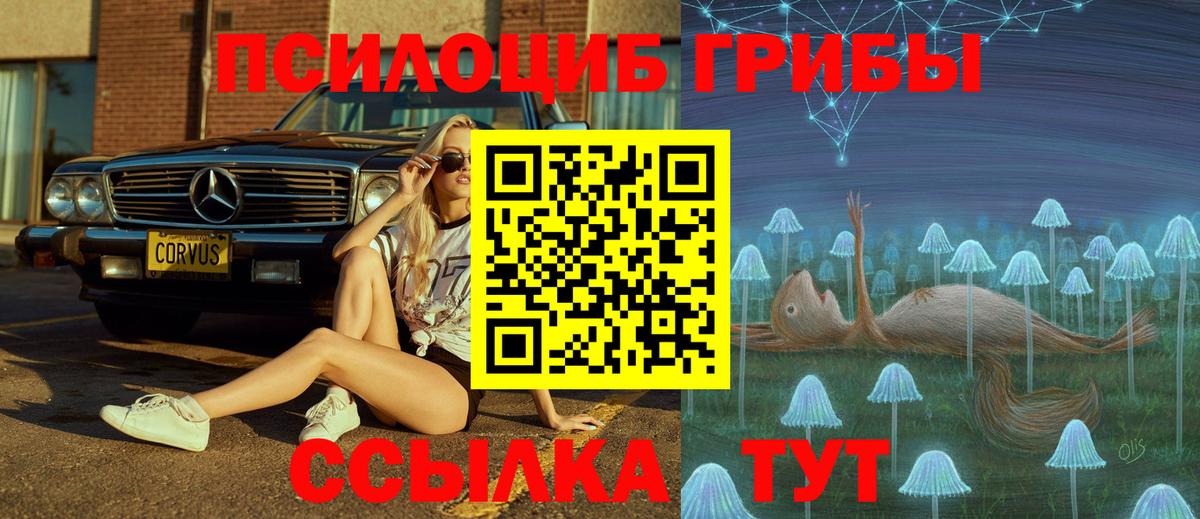 Галлюциногенные грибы Psilocybe Армавир